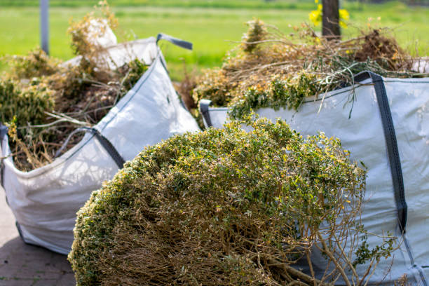 Best Professional Junk Removal  in Pembroke Park, FL